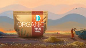 organic whole wheat oats dosa batter 1